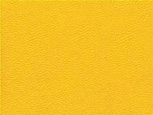 Load image into Gallery viewer, Leslie U shape