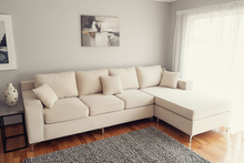 Load image into Gallery viewer, Velvet Lester Couch
