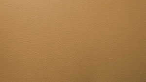 Grande U Shape Couch